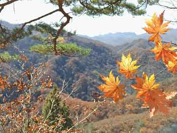 茌平泗水县县城私人刻章哪里有，沂水县刻章刻字的商店？